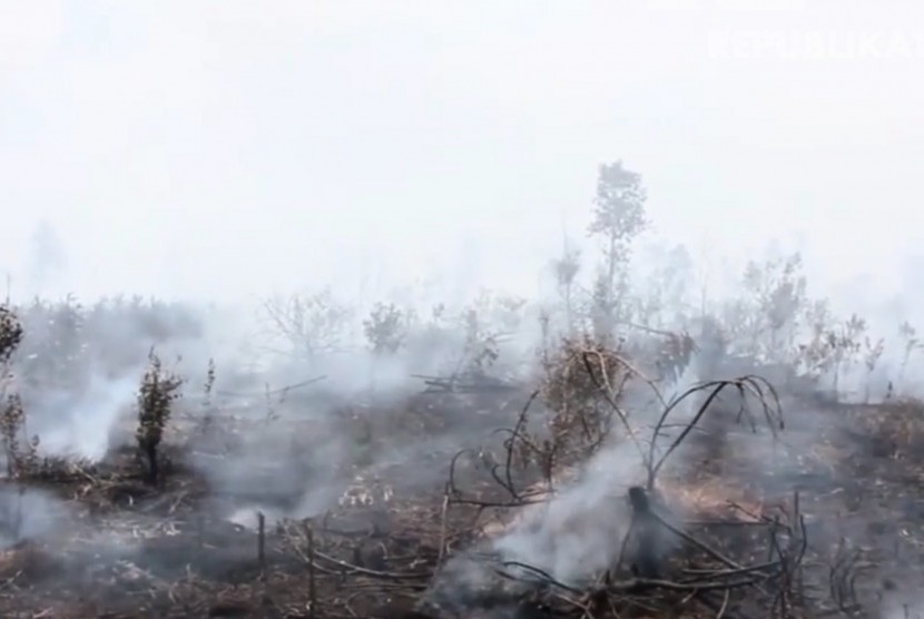 Danrem 042/Gapu Kolonel Arh Elphis Rudy, Komandan Satgas Karhutla Jambi Mengatakan Kebakaran Lahan Dan Hutan Di Wilayah Provinsi Jambi Mencapai 174 Hektare Dengan Lahan