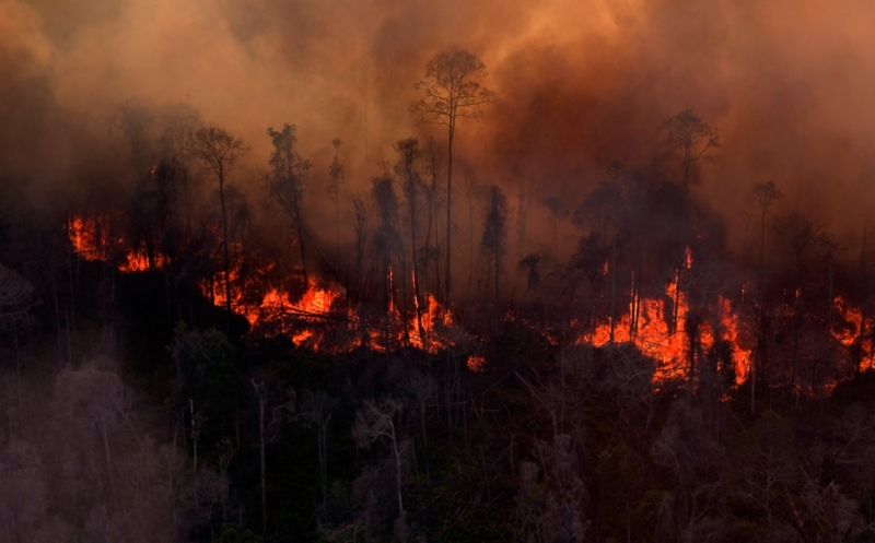 Polda Jambi Telah Menetapkan 19 Orang Tersangka Pelaku Pembakaran Hutan dan Lahan