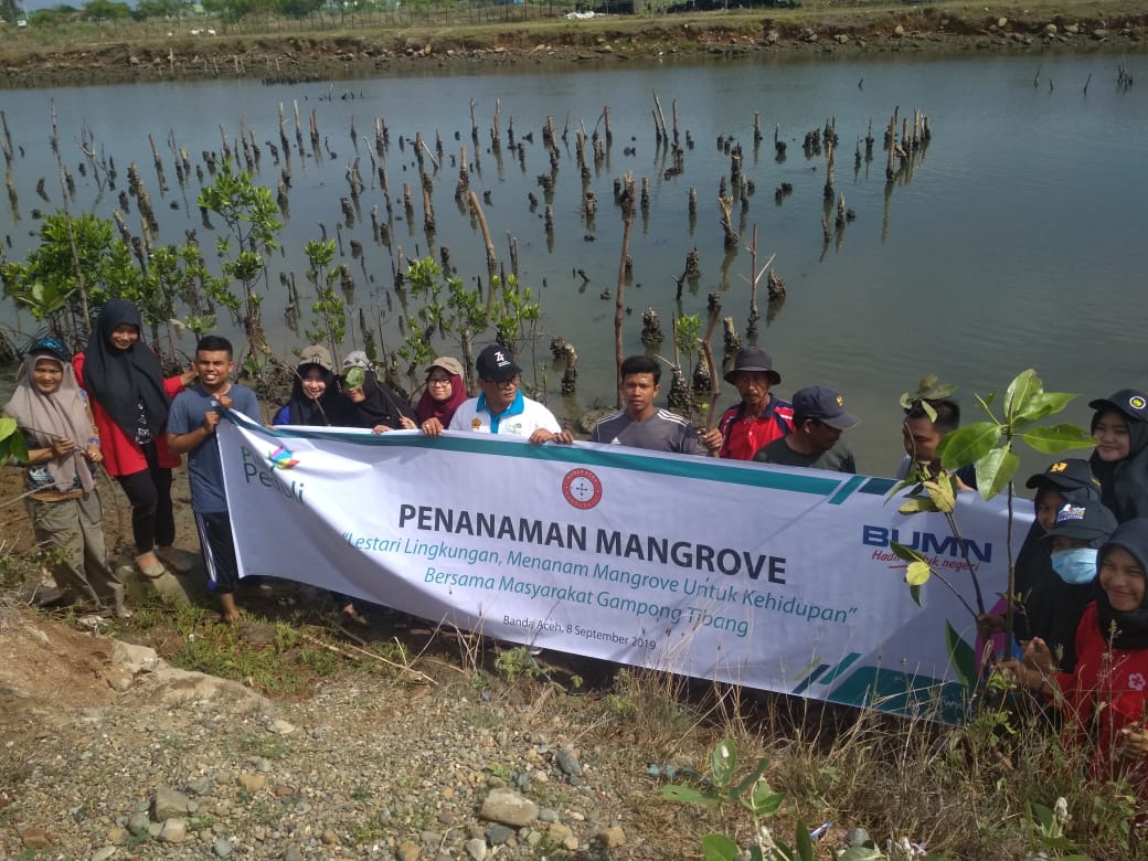 PT Perusahaan Listrik Negara (PLN) Persero Unit Induk Wilayah Aceh melakukan penanaman 1.000 batang bibit mangrove di kawasan pantai Desa Suak Puntong, Kecamatan Kuala Pesisir, Kabupaten Nagan Raya, Provinsi Aceh