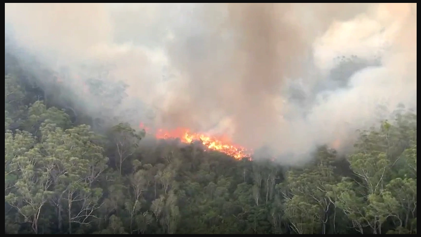 Penduduk Pulau K’gari-Fraser disuruh segera pergi karena kebakaran hutan mengancam Happy Valley Australia