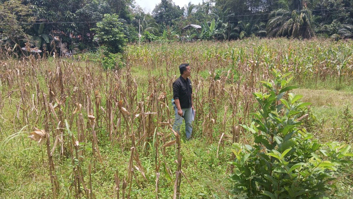 Pemkab Bartim Cek Lokasi Rencana Pembangunan Koperasi Desa Merah Putih di Desa Batuah