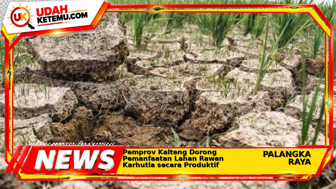Pemprov Kalteng Dorong Pemanfaatan Lahan Rawan Karhutla secara Produktif